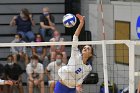 VB vs WSU  Wheaton Women's Volleyball vs Worcester State University. - Photo by Keith Nordstrom : Wheaton, Volleyball